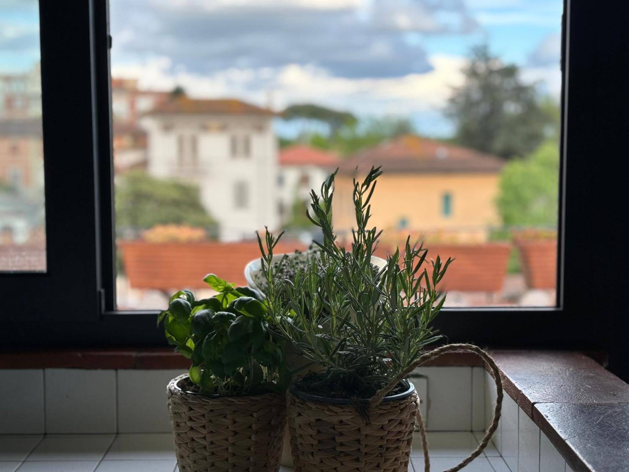 Lovely Apartment Lucca Exteriér fotografie